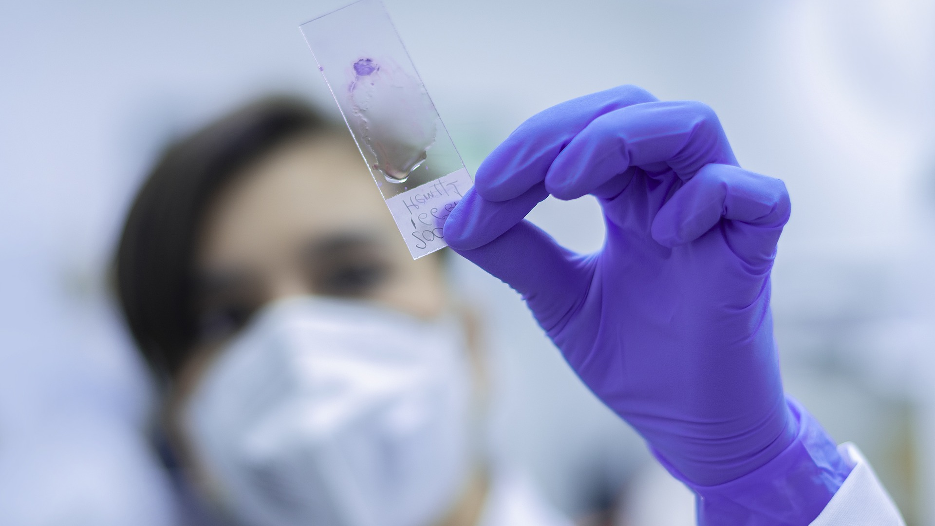 Image by fernando zhiminaicela from Pixabay