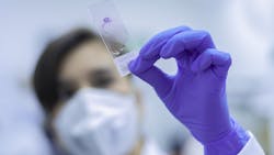 Image by fernando zhiminaicela from Pixabay Image by fernando zhiminaicela from Pixabay