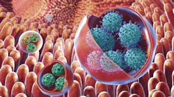 Photo courtesy of The George Washington University Photo courtesy of The George Washington University