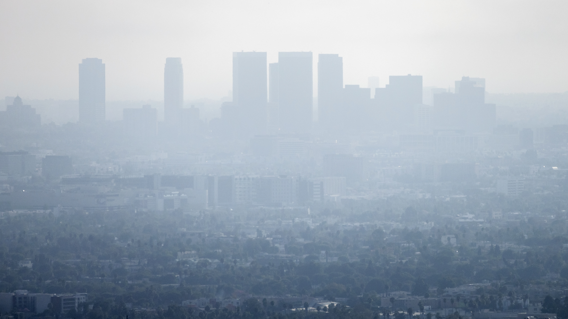 Photo 43408245 &copy; Trekandshoot | Dreamstime