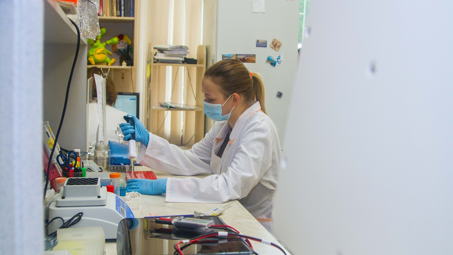 Image by &Mcy;&icy;&khcy;&acy;&icy;&lcy; &Dcy;&ocy;&kcy;&ucy;&kcy;&icy;&ncy; from Pixabay