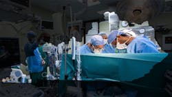 Image by Ahmad Ardity from Pixabay Image by Ahmad Ardity from Pixabay