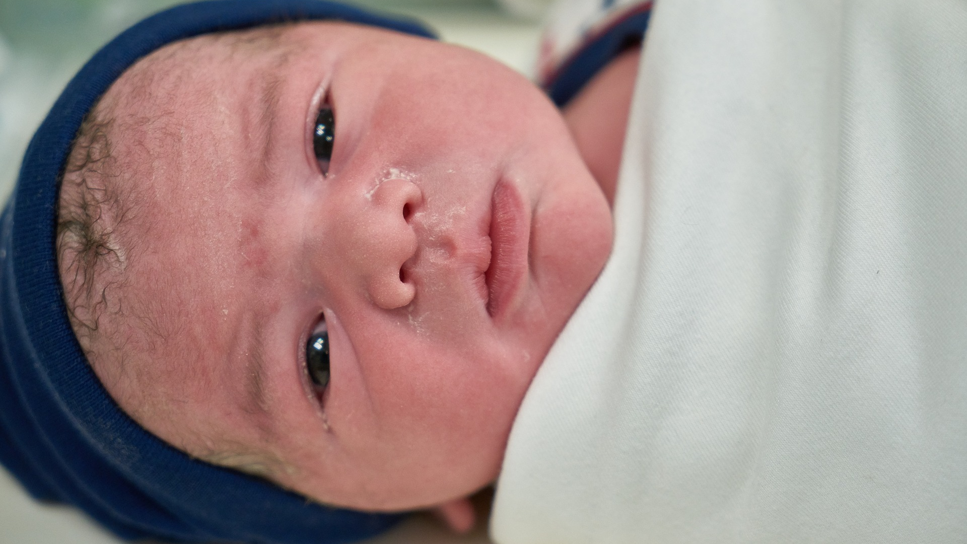 Image by Engin Akyurt from Pixabay