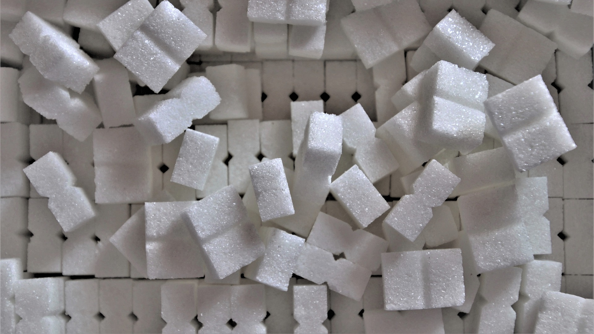 Image by pasja1000 from Pixabay