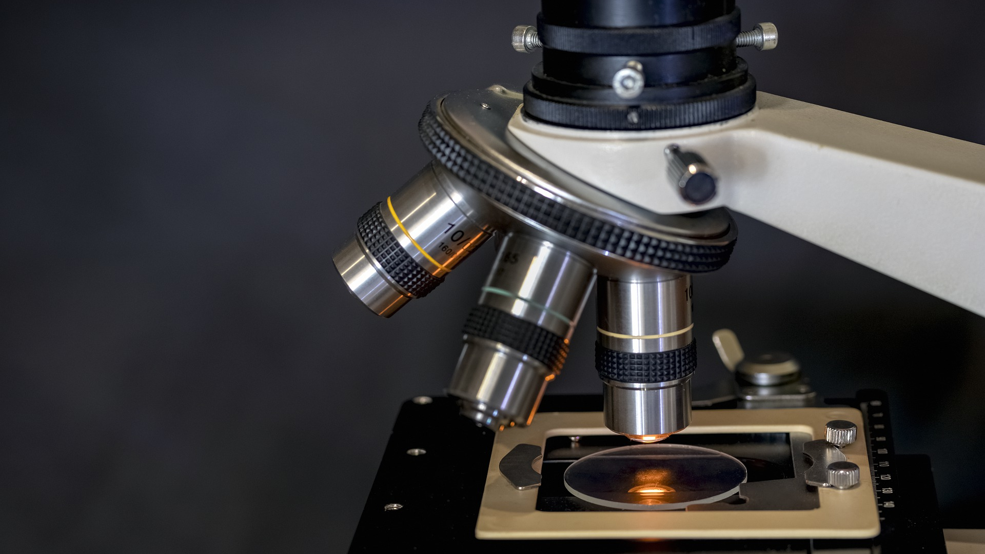 Image by Ioannis Karathanasis from Pixabay