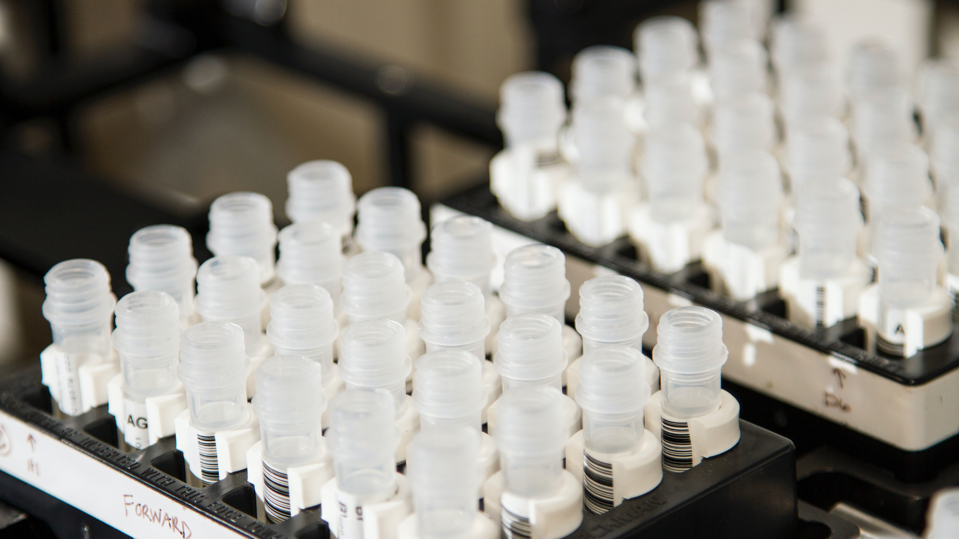 Photo by National Cancer Institute on Unsplash