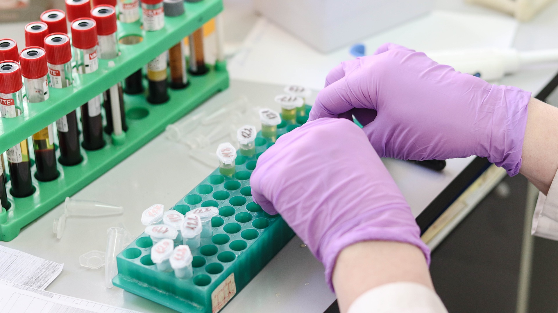 Image by Belova59 from Pixabay