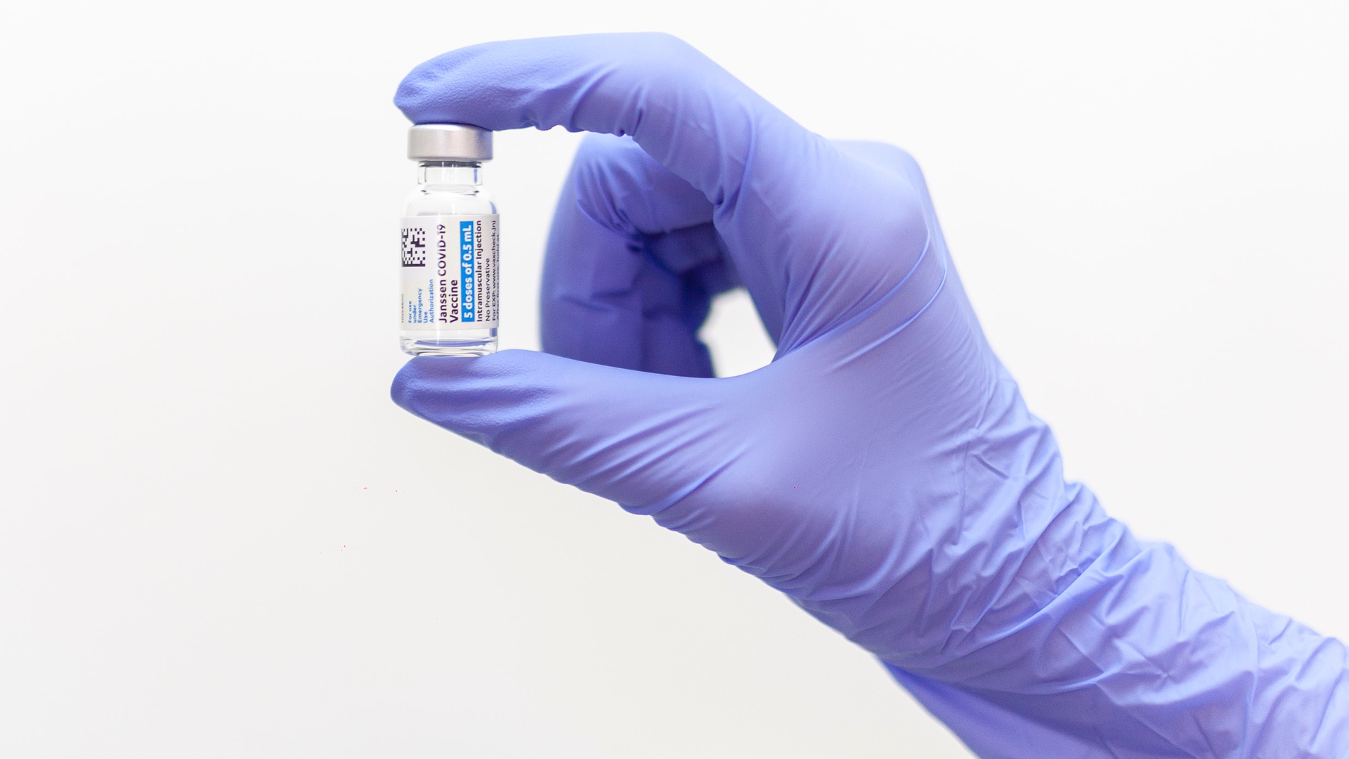 Photo by Mohammad Shahhosseini on Unsplash