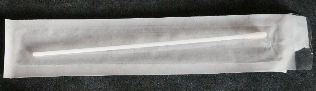 Image by TomCam from Pixabay