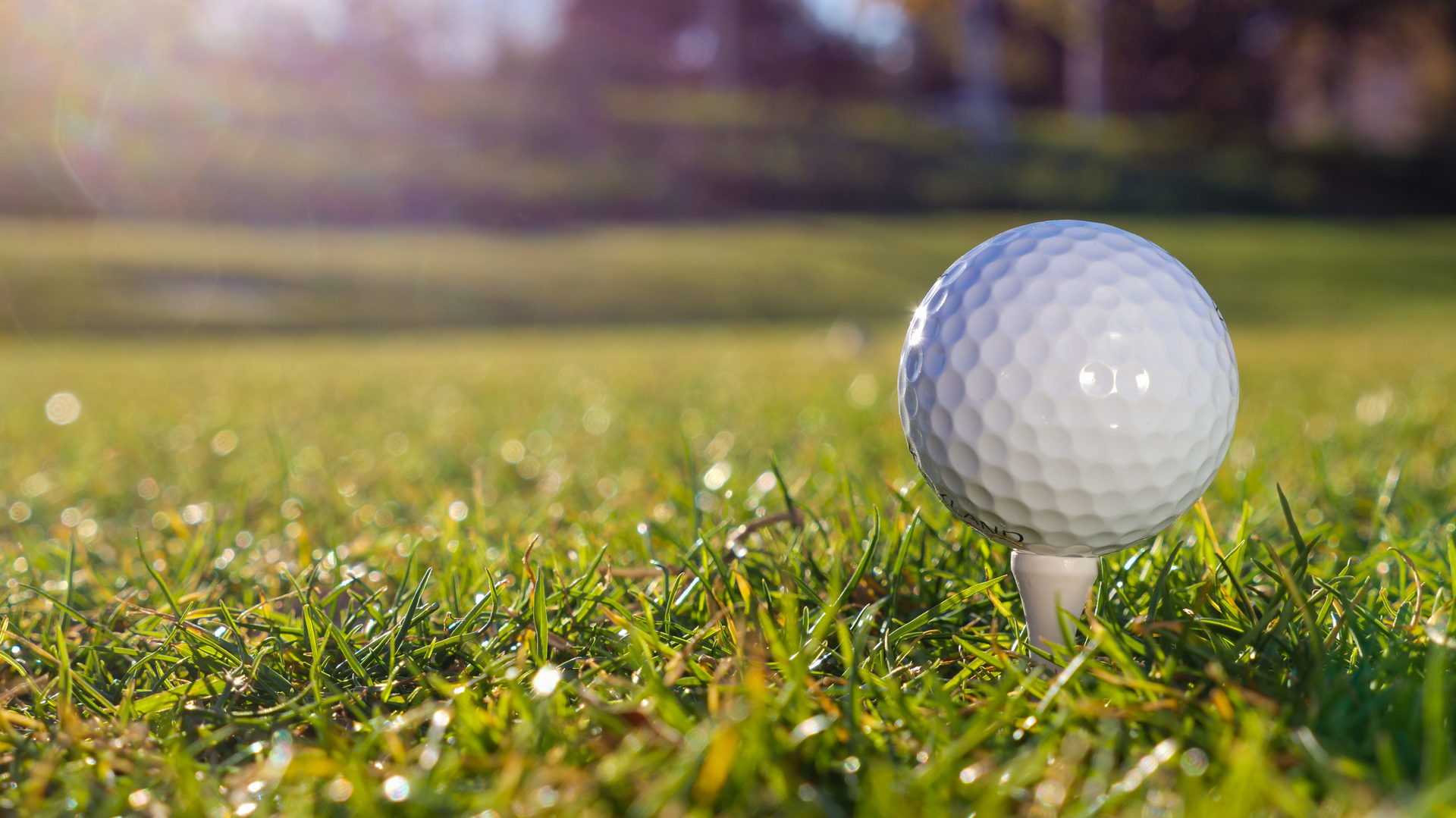 Photo by Kindel Media from Pexels