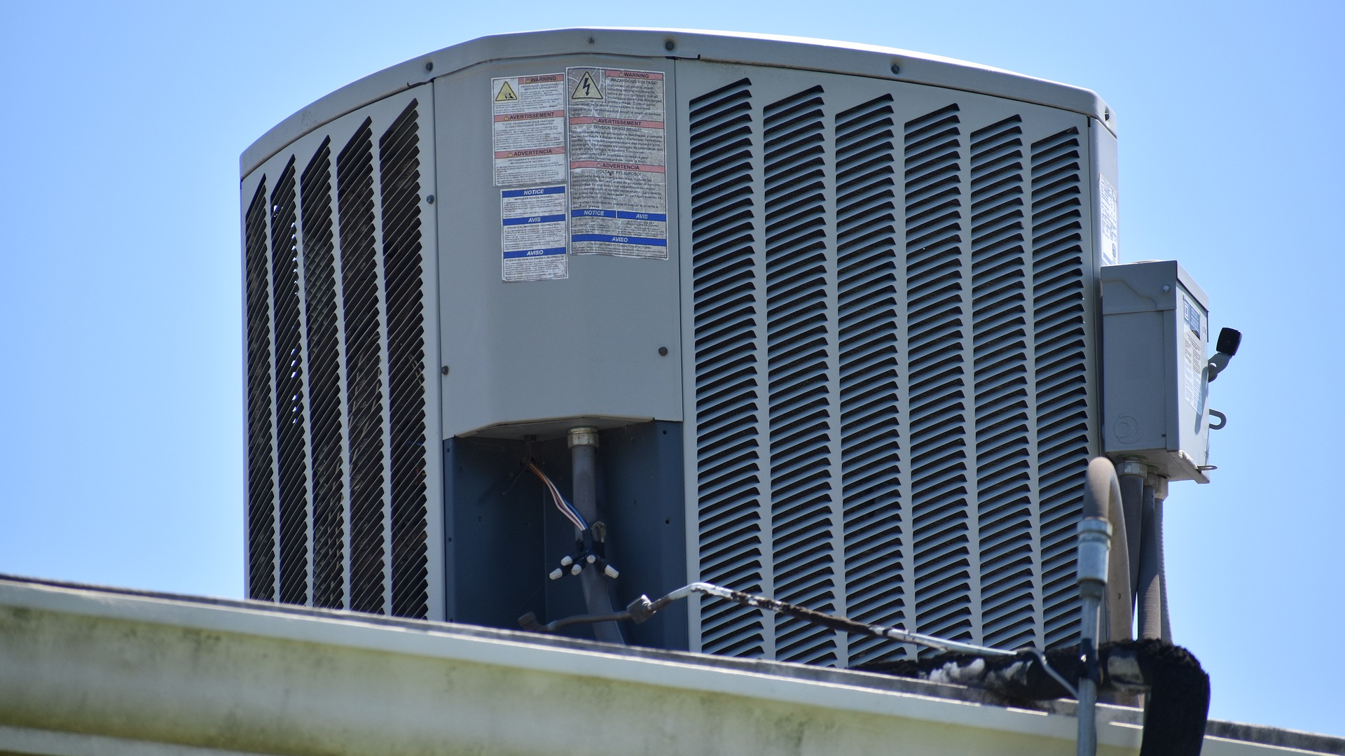 Image by F. Muhammad from Pixabay