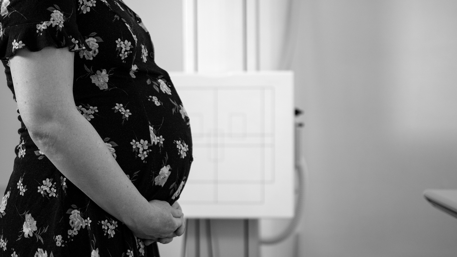 Image by Bokskapet from Pixabay