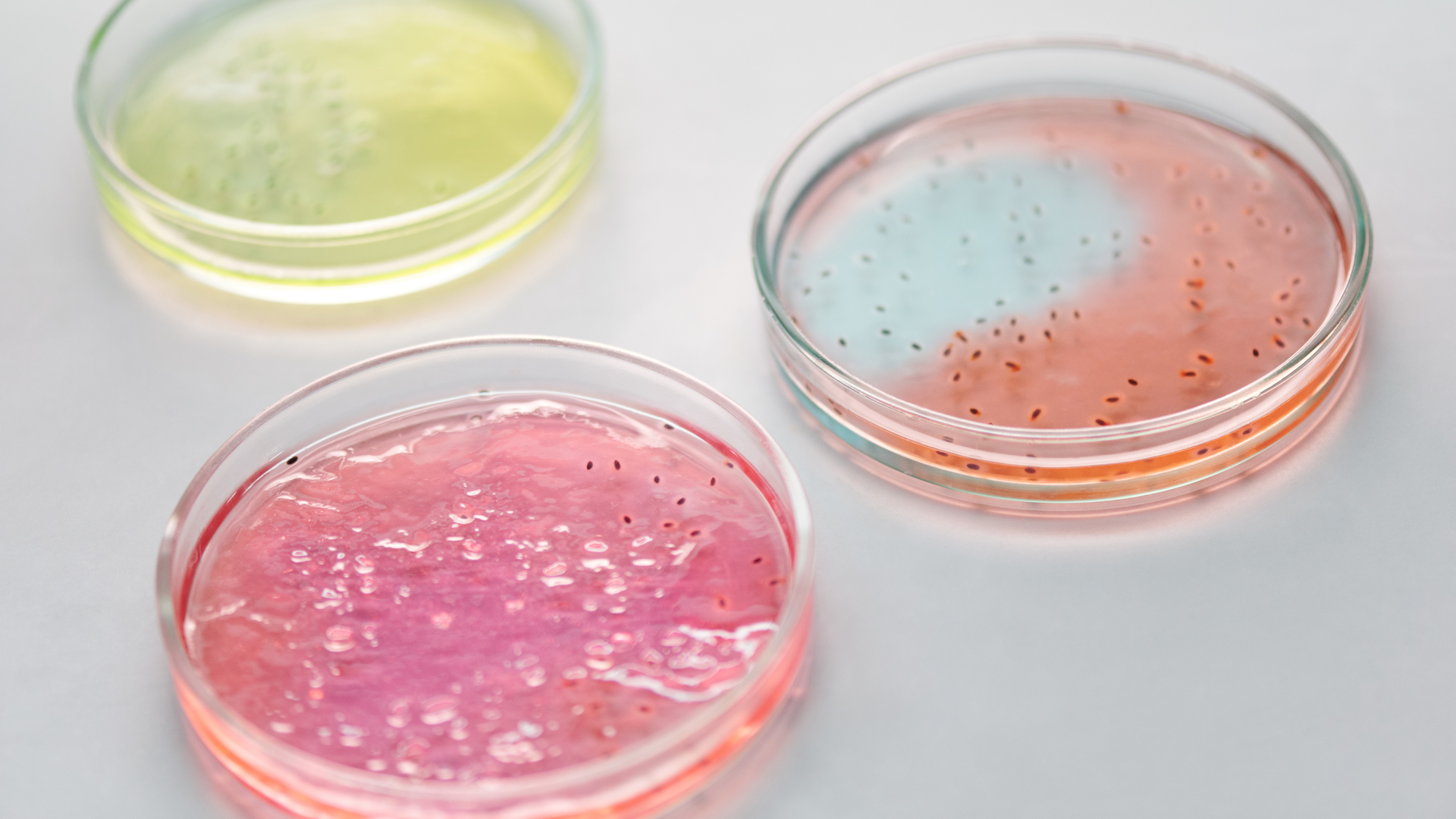 Photo by Edward Jenner from Pexels