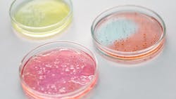 Photo by Edward Jenner from Pexels Photo by Edward Jenner from Pexels