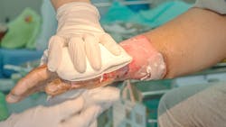 Photo Credit: Kirov1969 | Stock adobe Photo Credit: Kirov1969 | Stock adobe