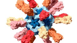 Photo courtesy of NIH and NIAID Photo courtesy of NIH and NIAID