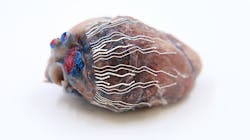 Photo courtesy of Purdue University Research Foundation News Photo courtesy of Purdue University Research Foundation News