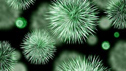 Image by Gerd Altmann from Pixabay Image by Gerd Altmann from Pixabay