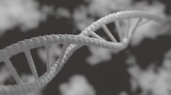 Image by Mahmoud Ahmed from Pixabay Image by Mahmoud Ahmed from Pixabay