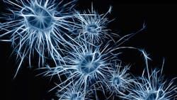 Image by Gerd Altmann from Pixabay Image by Gerd Altmann from Pixabay