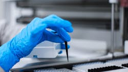 Image by fernando zhiminaicela from Pixabay Image by fernando zhiminaicela from Pixabay