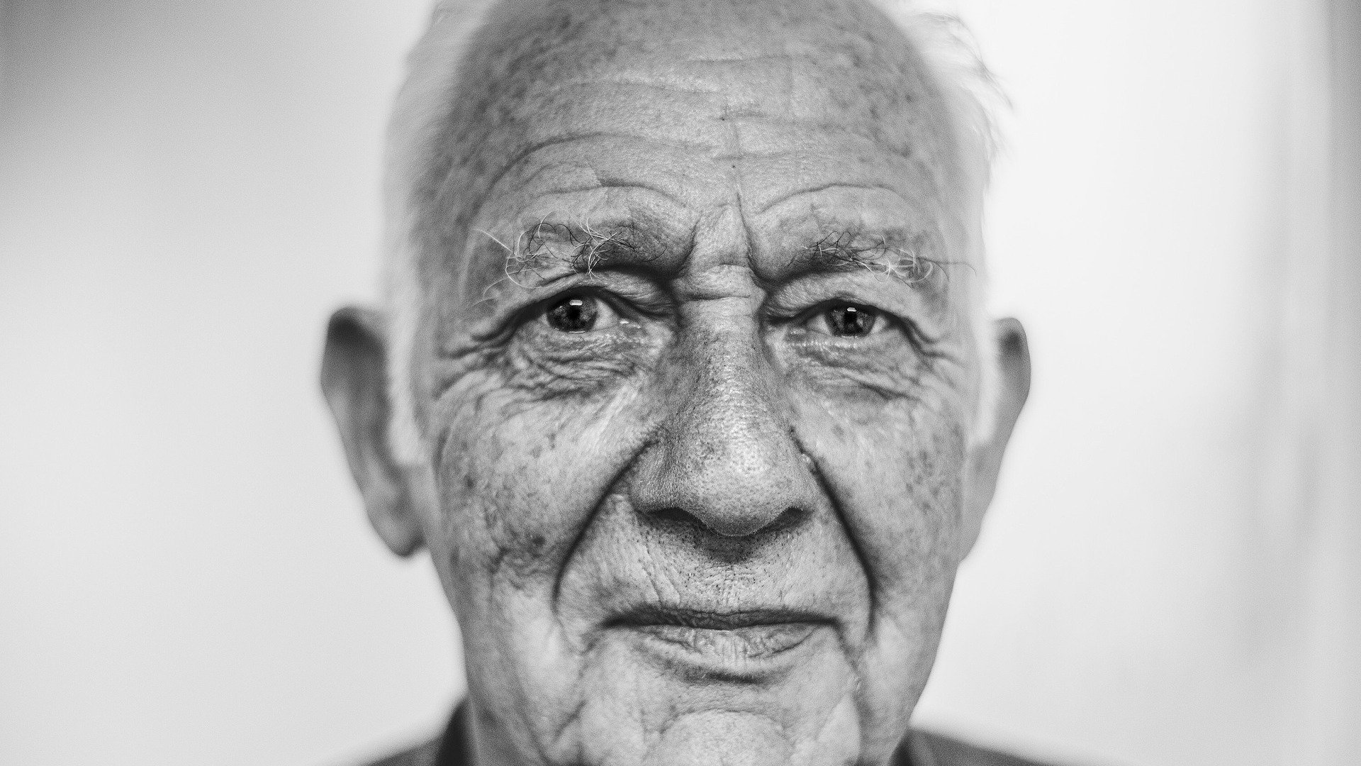 Image by Free-Photos from Pixabay