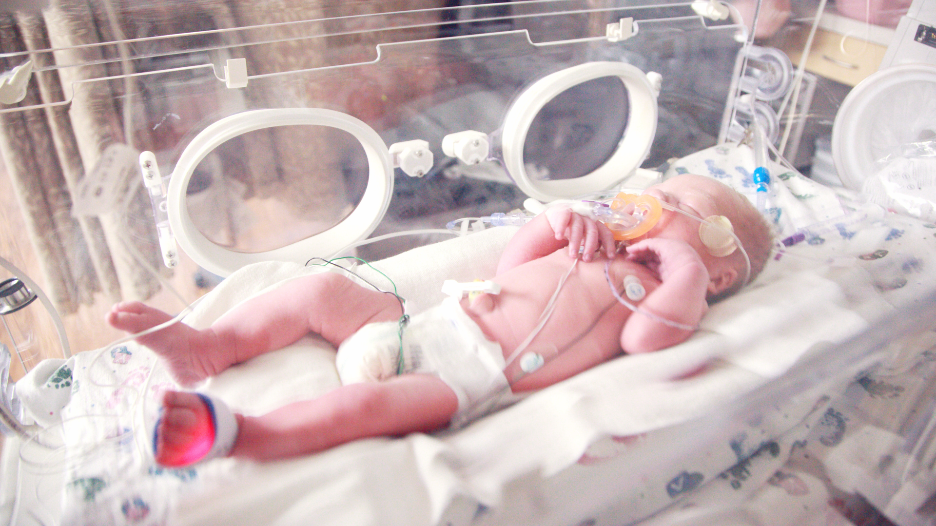 https://unsplash.com/s/photos/baby-in-hospital?utm_source=unsplash&utm_medium=referral&utm_content=creditCopyText