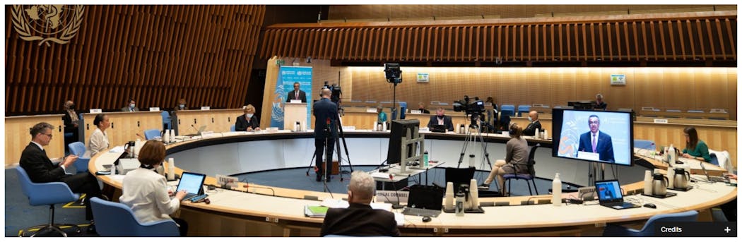 World Health Assembly Makes Resolutions On Public Health, Emergencies And Mental Health Pic 6 1 21du Screenshot 1 Who Christoper Black