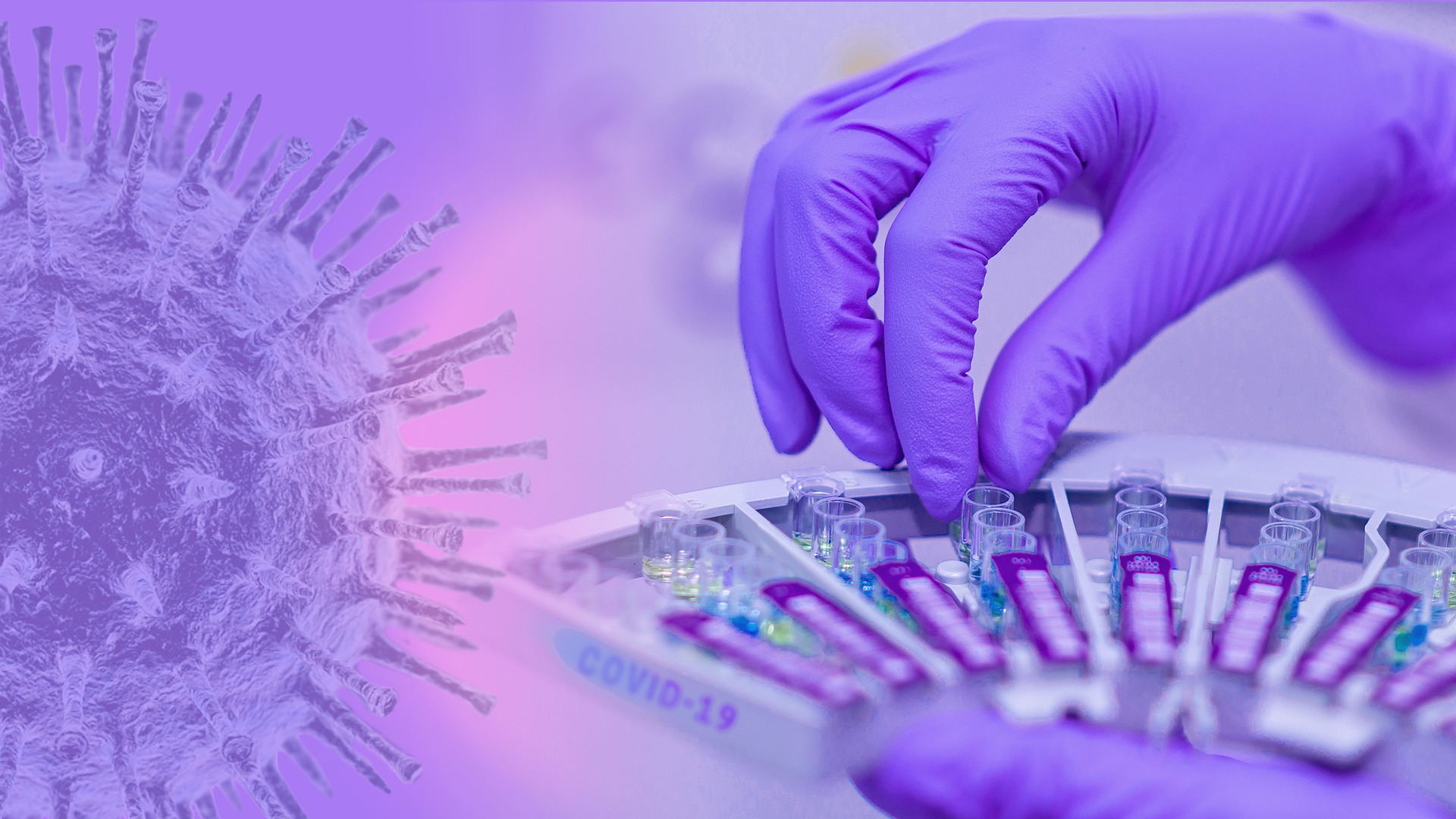 Image by fernando zhiminaicela from Pixabay