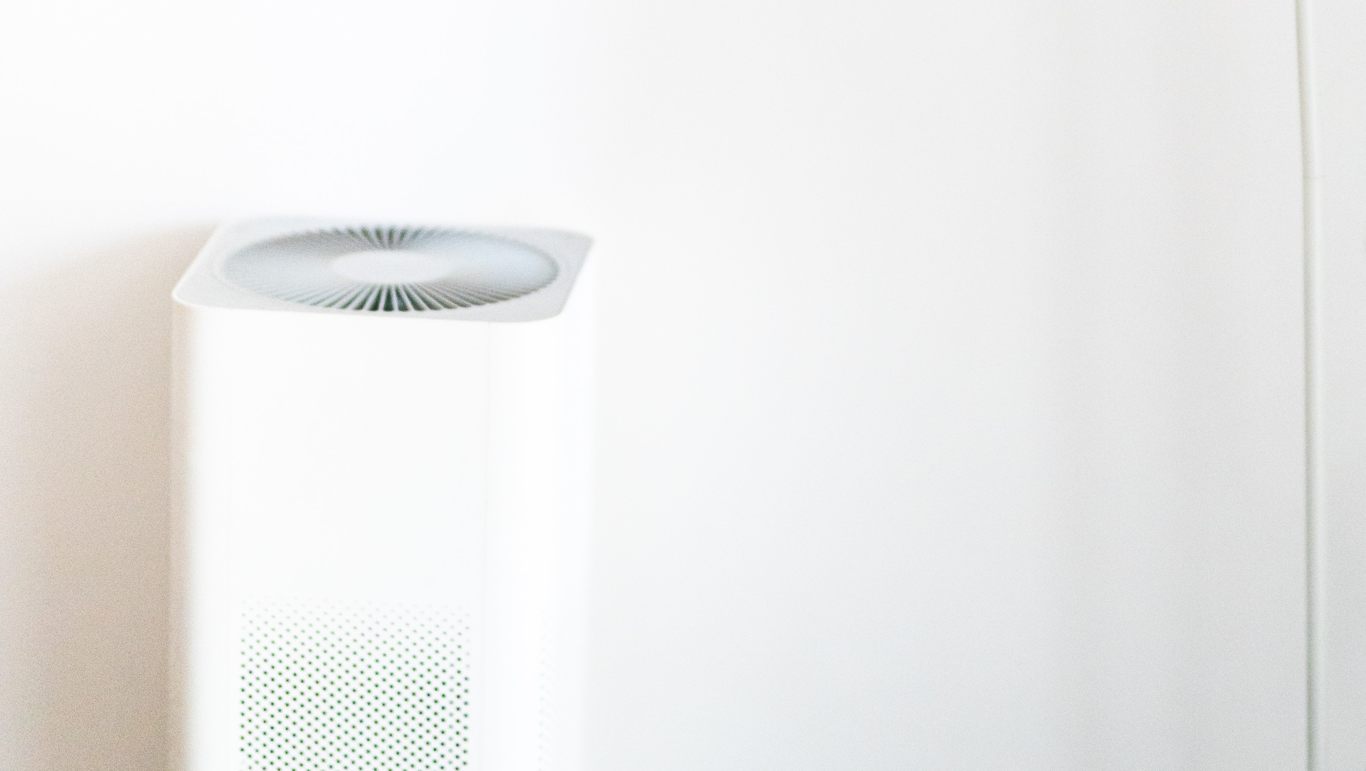 Photo by Cats Coming from Pexels