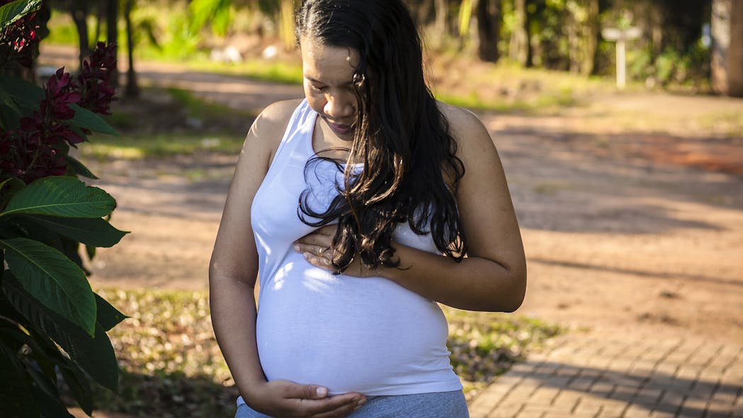 Nih Data Challenge Seeks Methods For Identifying Complication Risks In First Time Pregnancies Pic 7 2 21du Pregnant 4770546 1920 Pixabay
