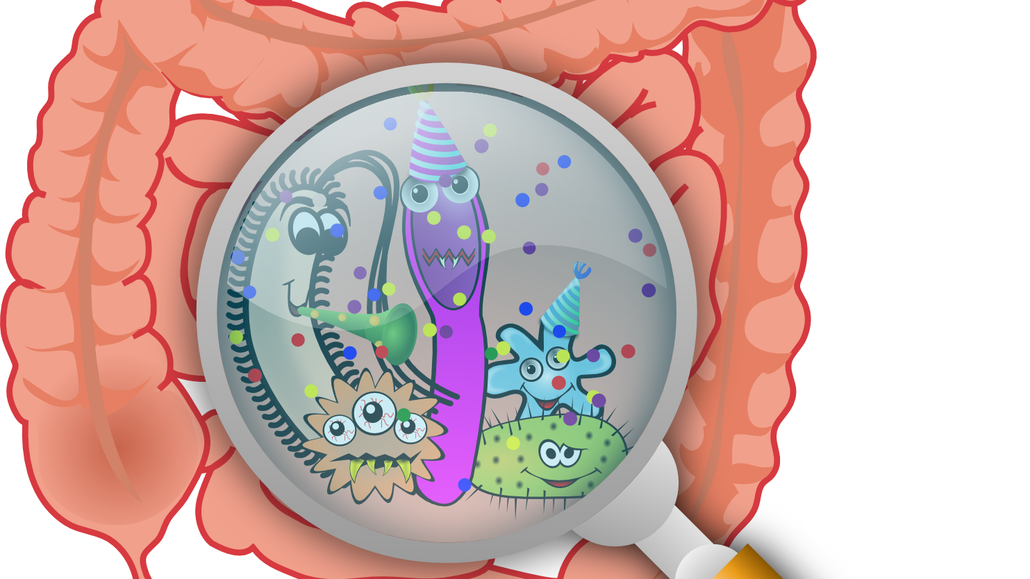 Fungi that live in the gut influence health and disease