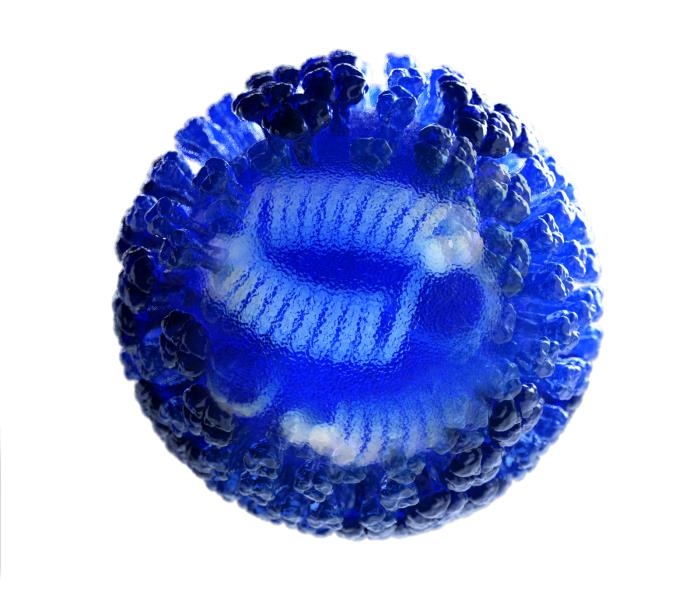 Cdc Flu 6100237f5e7ce