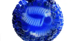 Cdc Flu