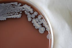 12278 611277bc80f41 12278 611277bc80f41