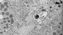 18136 61128774d91ec 18136 61128774d91ec