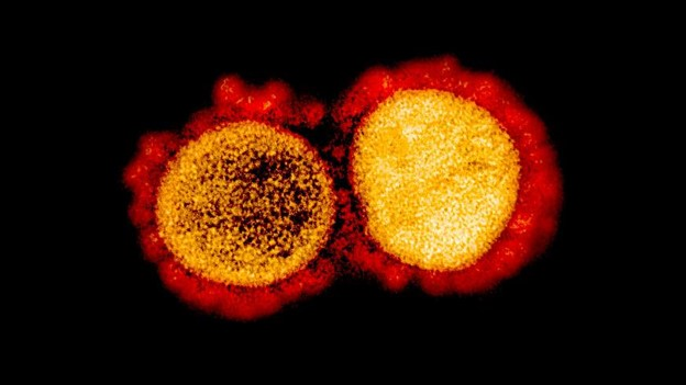 8 10 Nih 611273db2c781