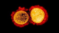 8 10 Nih 611273db2c781 8 10 Nih 611273db2c781