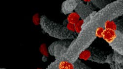 Niaid 611d28b5d820d Niaid 611d28b5d820d