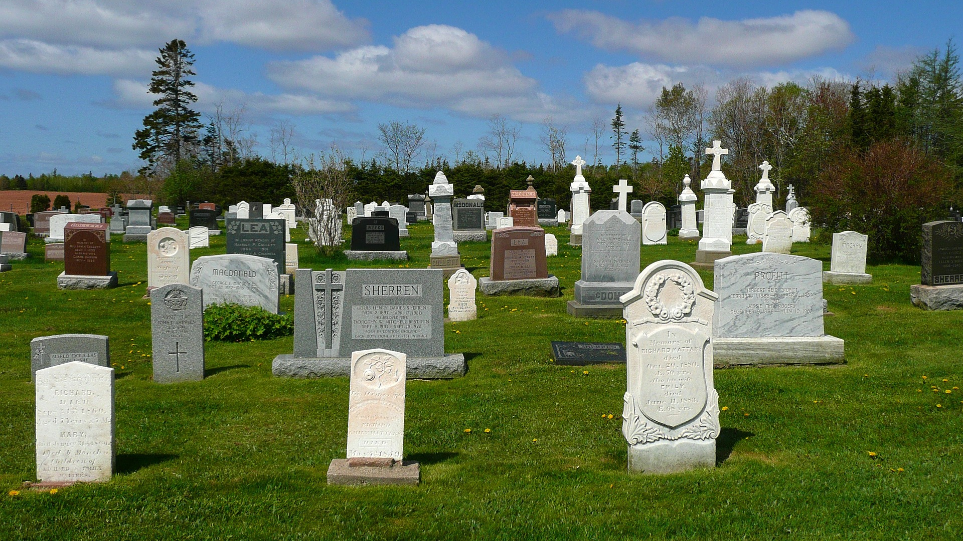 Graves 54965 1920 611a79ea453fb