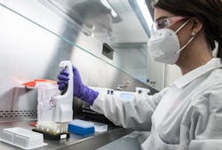 24502 61267763675da 24502 61267763675da