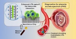 8 31 2021 Ucla 612e41823bb84 8 31 2021 Ucla 612e41823bb84