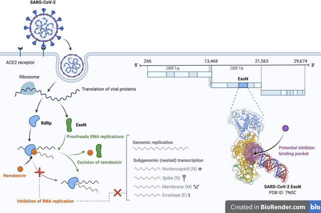 Iowa State 610bf6bfe8a7e
