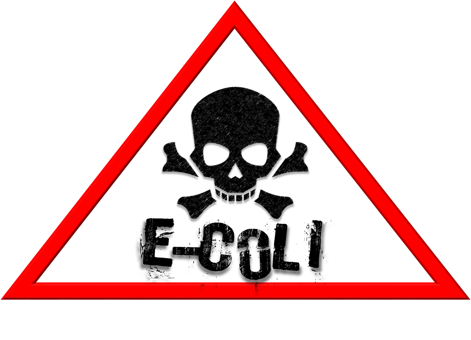 E Coli Hazard 1882290 1920 610803ba344d9