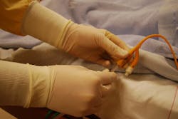 Hands 770461 1920 610ab8f8b3877 Hands 770461 1920 610ab8f8b3877