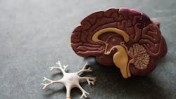 Robina Weermeijer I Hf Op Azzj Hm Unsplash 612e4551be8ea Robina Weermeijer I Hf Op Azzj Hm Unsplash 612e4551be8ea