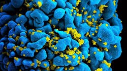 9 1 Hiv Nih 612f88138998e 9 1 Hiv Nih 612f88138998e