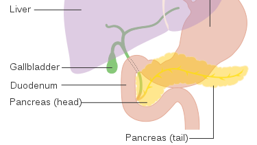 Cancer Research UK / Wikimedia Commons