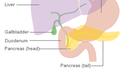 Cancer Research UK / Wikimedia Commons Cancer Research UK / Wikimedia Commons