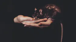 Animals G571867e66 1920